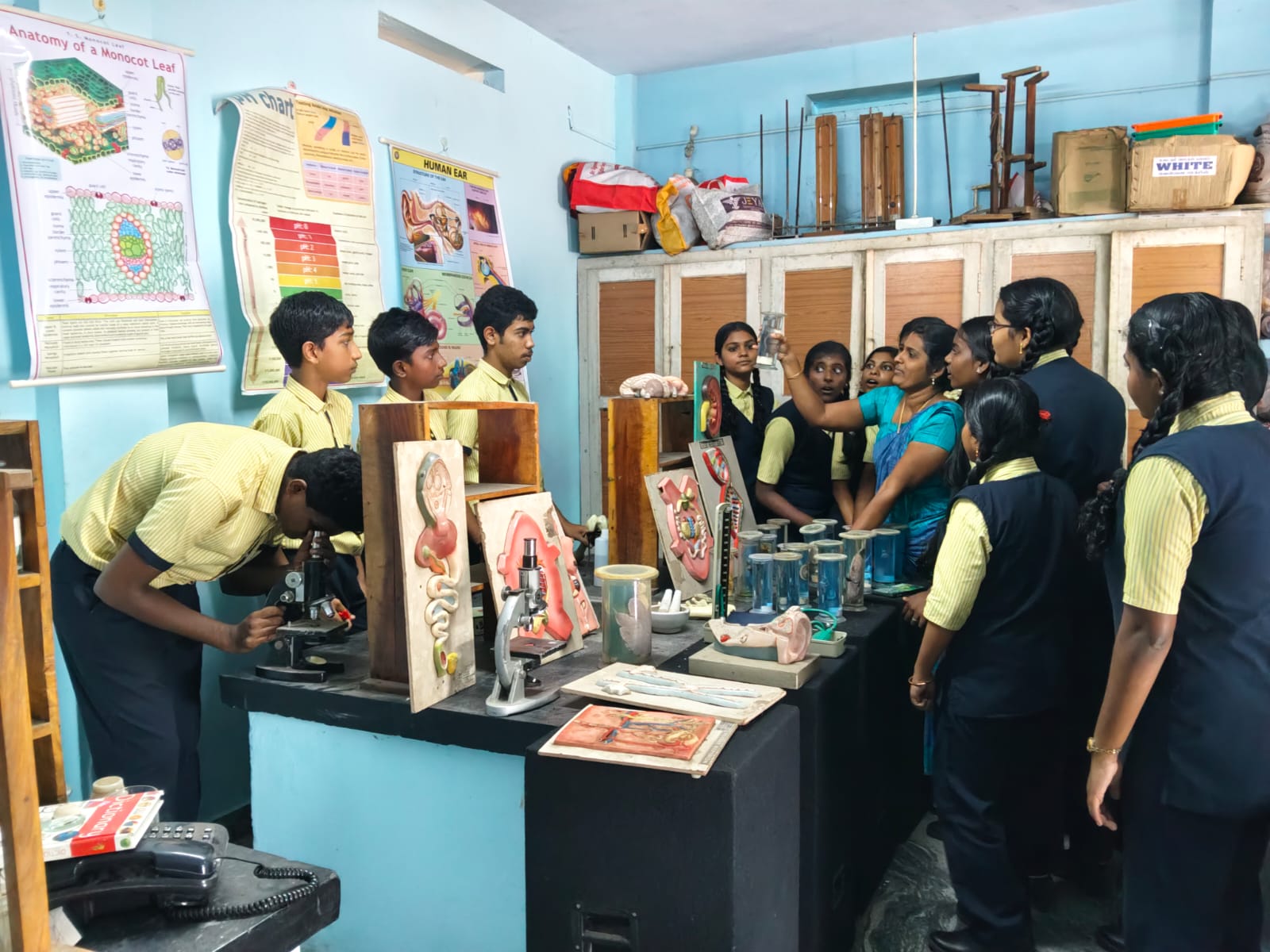 Students working on a science laboratory project